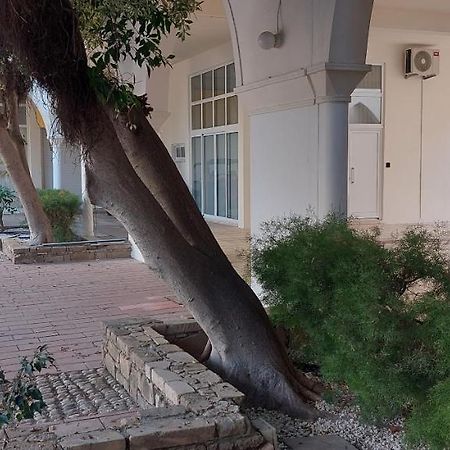 Eleantre Holiday Apartments بافوس المظهر الخارجي الصورة